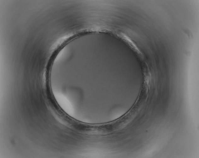 X0000113910678200910151418