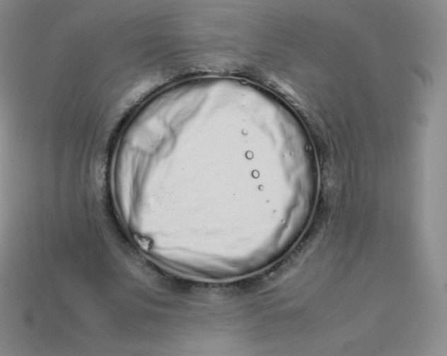 X0000113910679200910151418