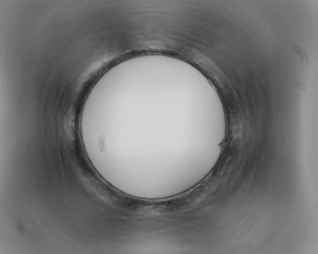 X0000113910680200910151418