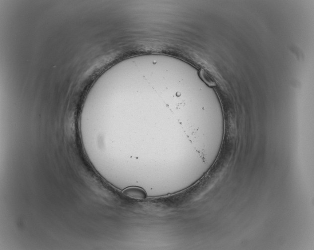 X0000113910681200910151418