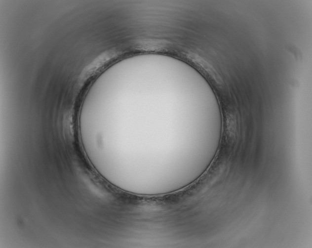 X0000113910682200910151418