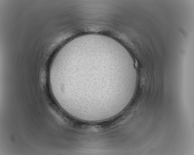 X0000113910683200910151418