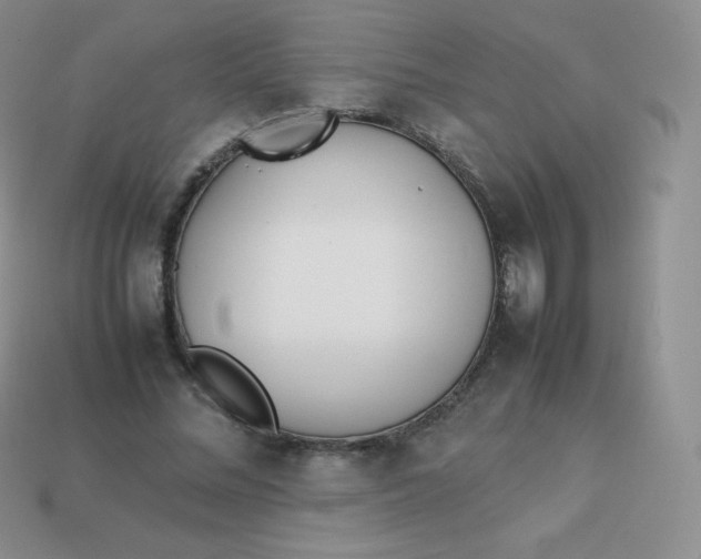 X0000113910684200910151418