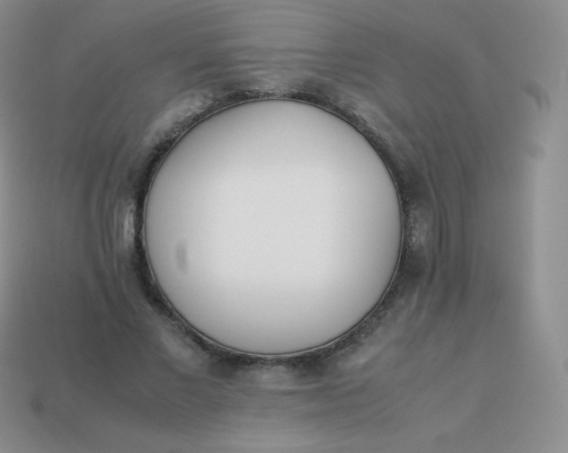 X0000113910685200910151418