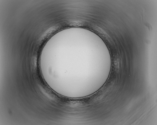 X0000113910686200910151418