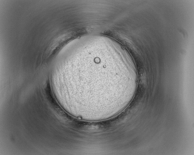 X0000113910687200910151418