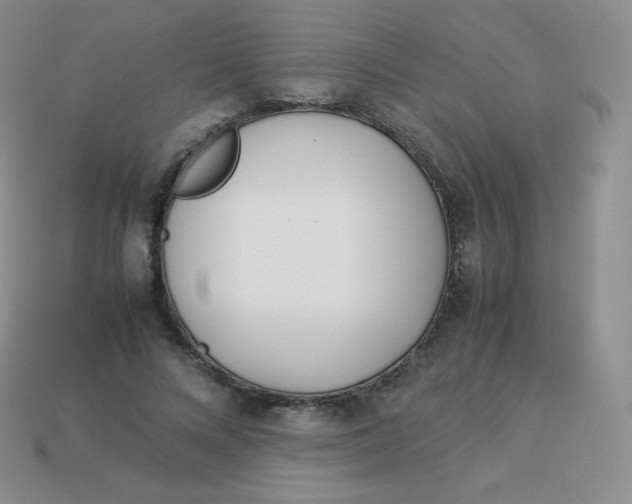 X0000113910688200910151418