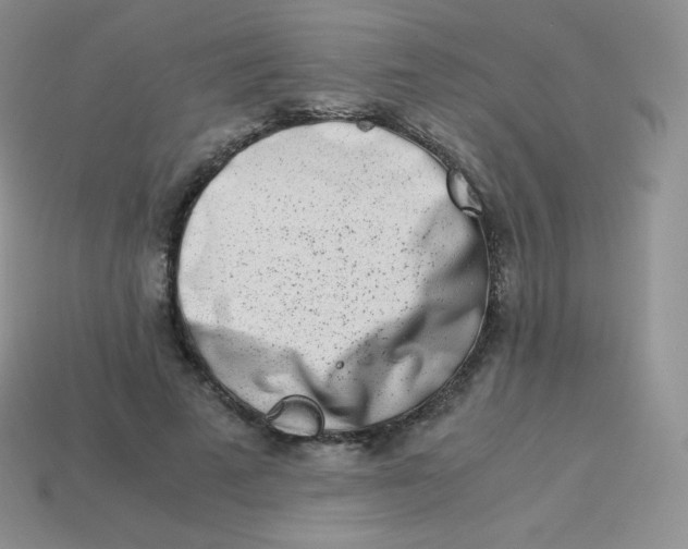 X0000113910689200910151418