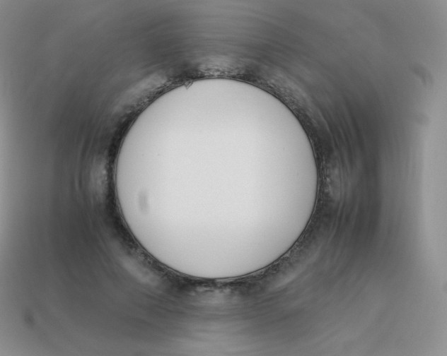 X0000113910690200910151418