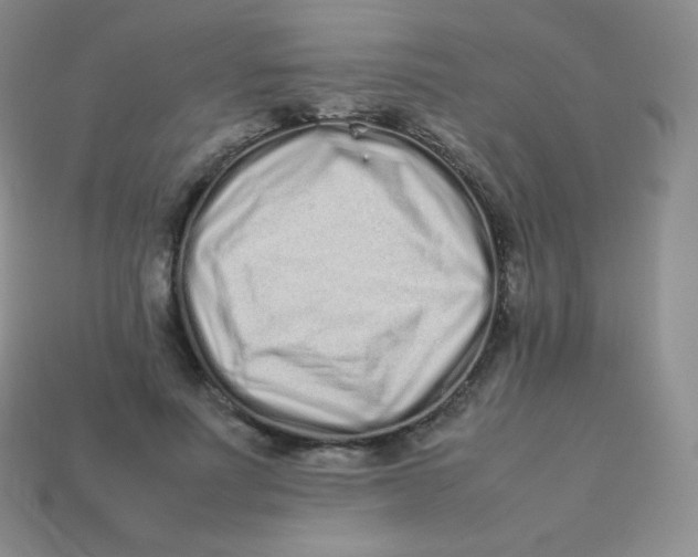 X0000113910691200910151418