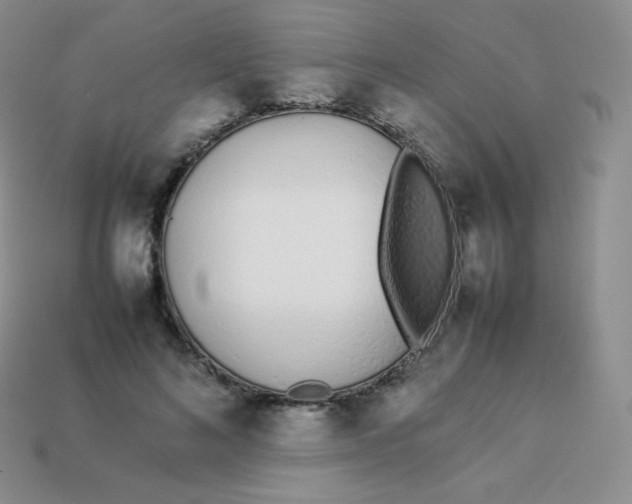 X0000113910692200910151418