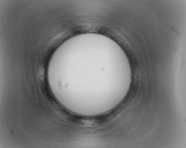 X0000113910693200910151418