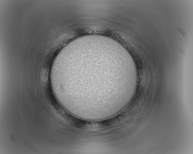 X0000113910695200910151418