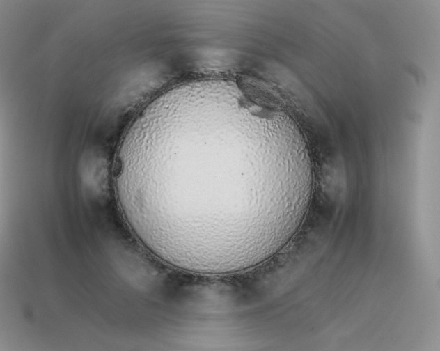 X0000113910696200910151418