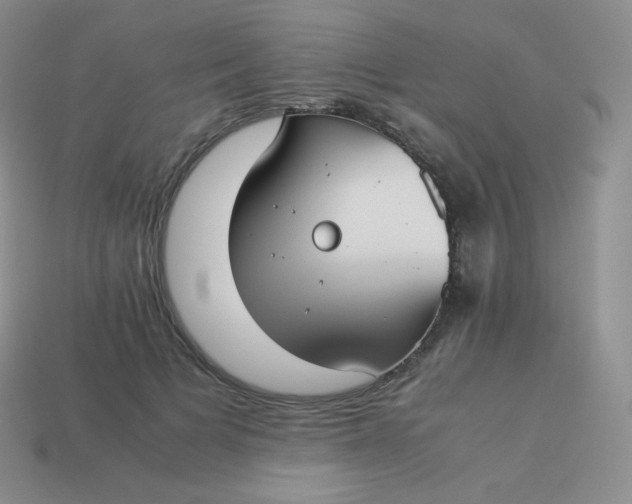 X0000113910697200910151418