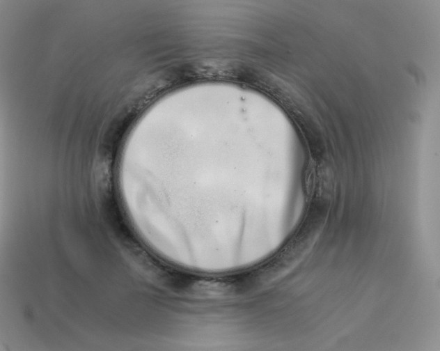 X0000113910699200910151418