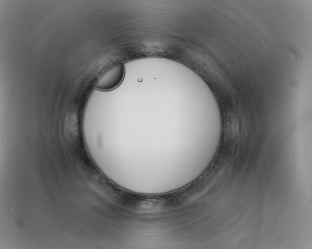 X0000113910700200910151418