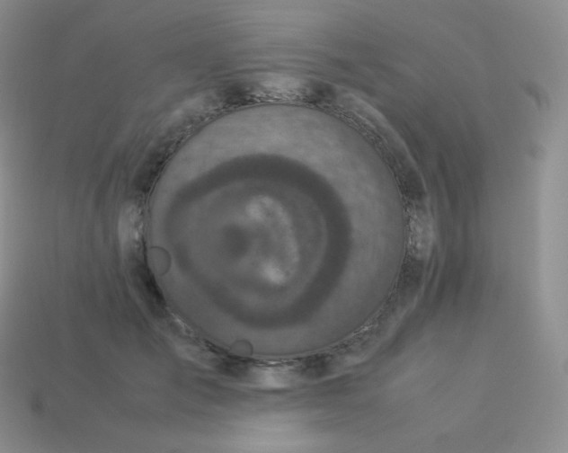 X0000113910701200910151418