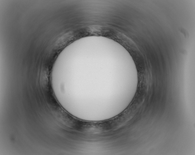 X0000113910702200910151418