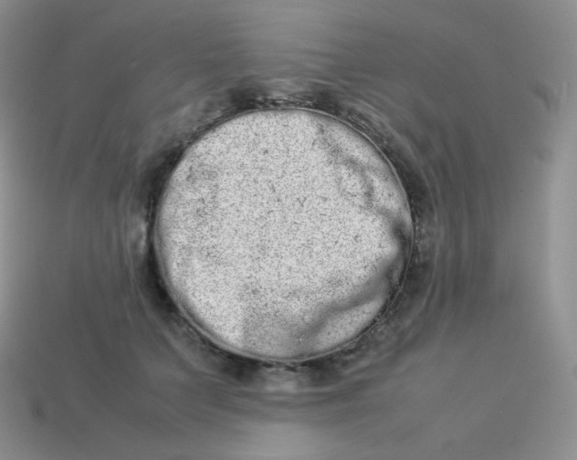 X0000113910703200910151418