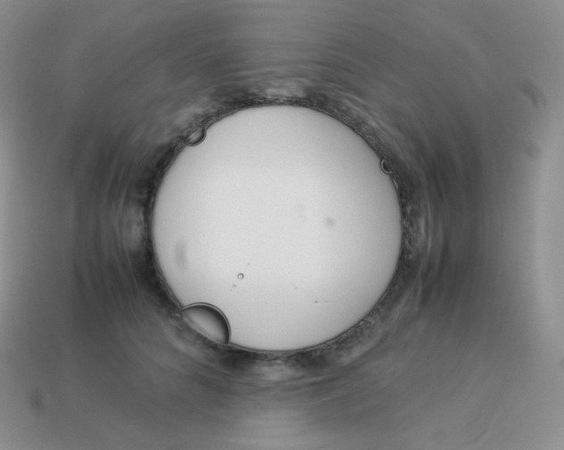 X0000113910704200910151418