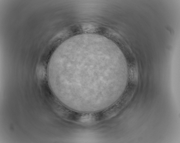 X0000113910705200910151418