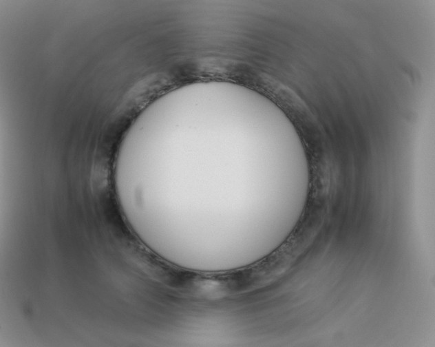 X0000113910706200910151418