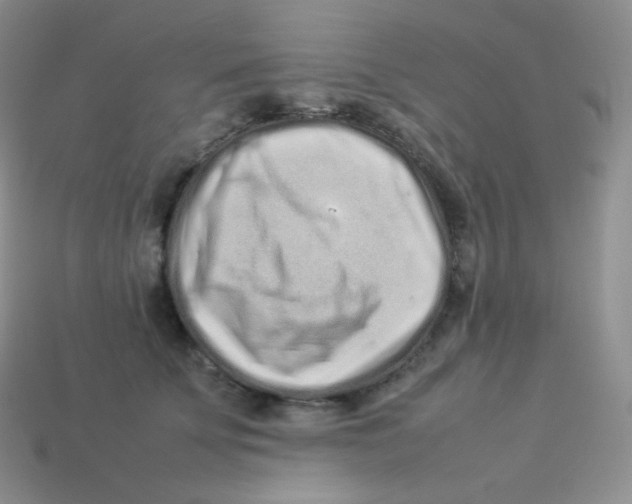 X0000113910707200910151418