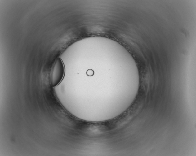 X0000113910708200910151418