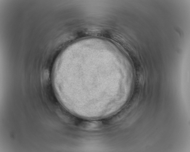 X0000113910711200910151418