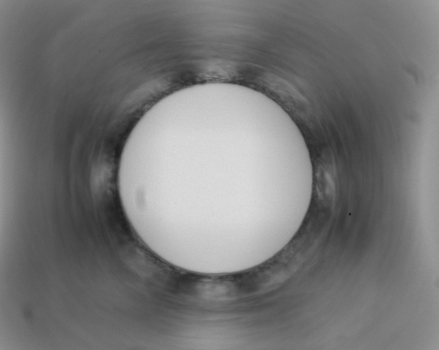 X0000113910714200910151418