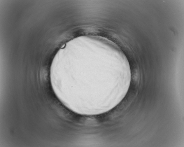 X0000113910715200910151418