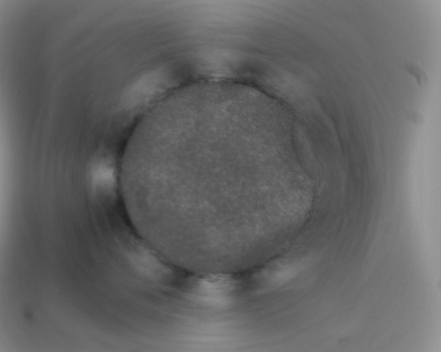 X0000113910720200910151417