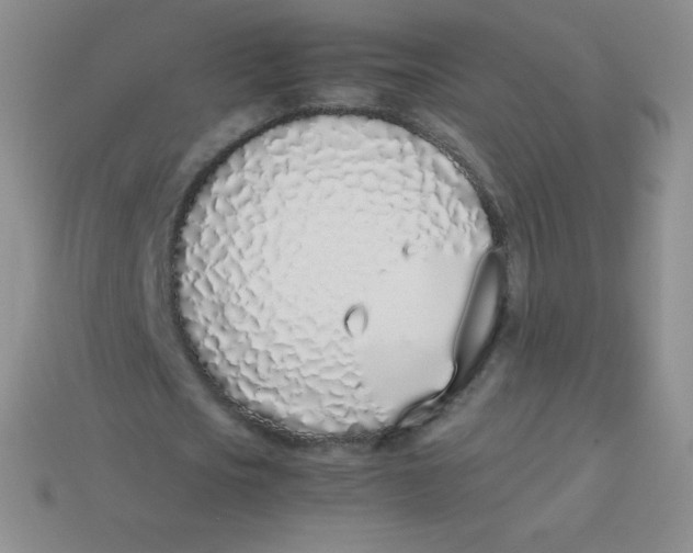 X0000113910721200910151417