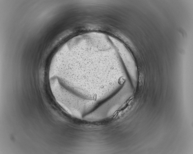 X0000113910722200910151417