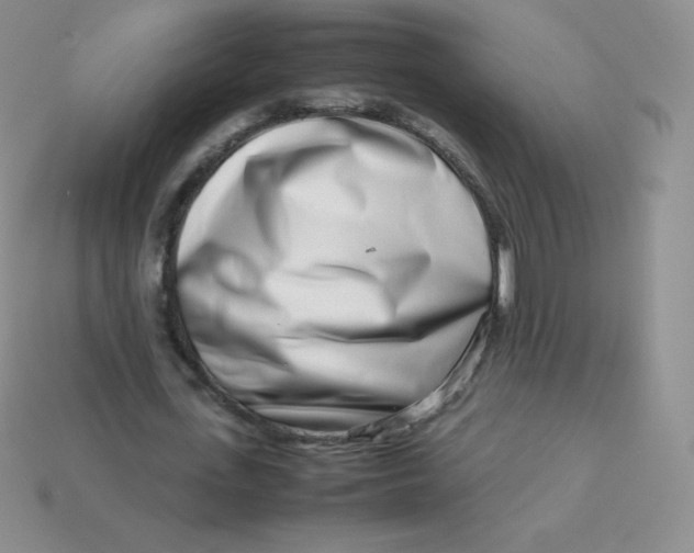 X0000113910723200910151417