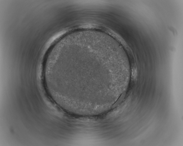 X0000113910724200910151417