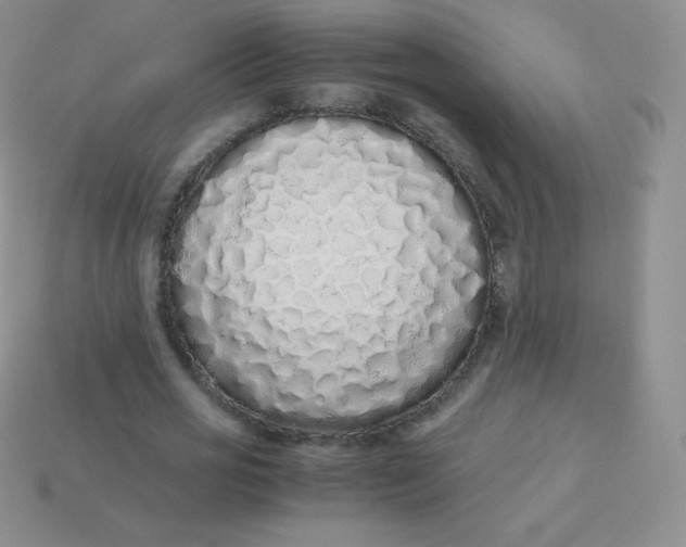 X0000113910725200910151417