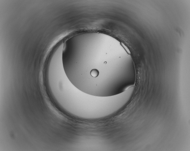 X0000113910726200910151417