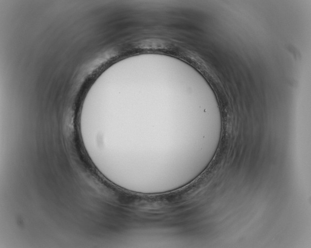 X0000113910727200910151417