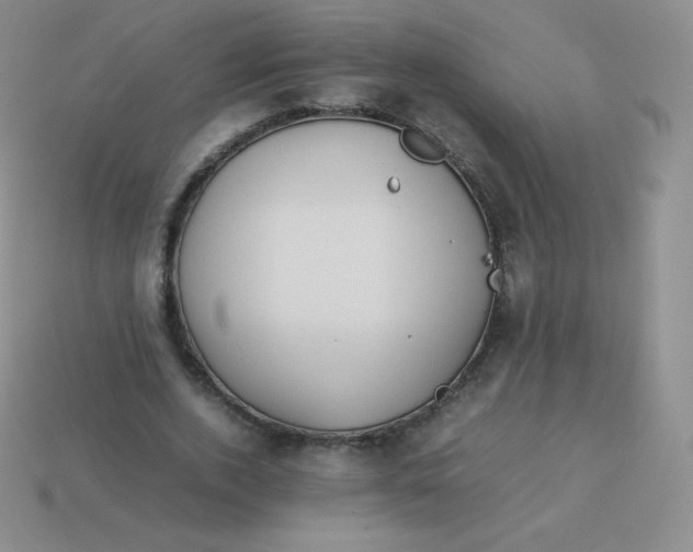 X0000113910728200910151417