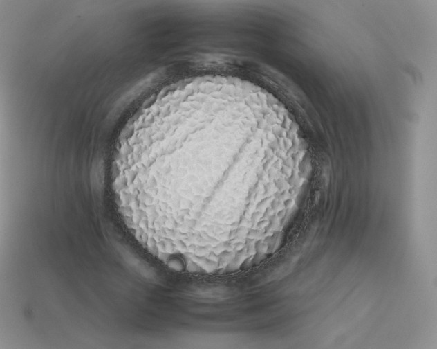 X0000113910729200910151417