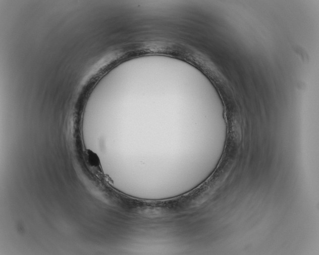 X0000113910730200910151417