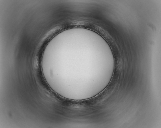 X0000113910731200910151417