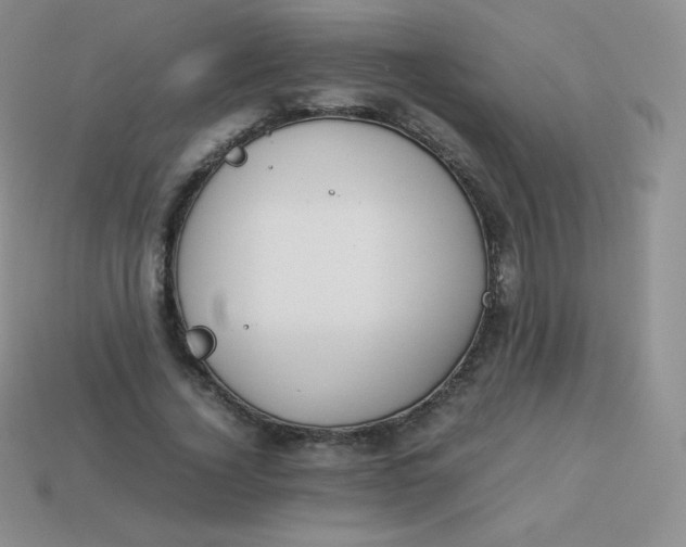 X0000113910732200910151417