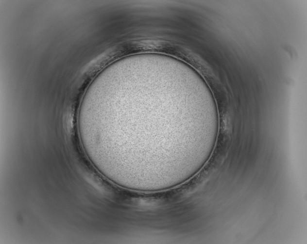 X0000113910733200910151417