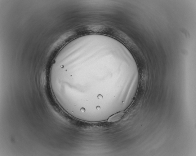 X0000113910734200910151417