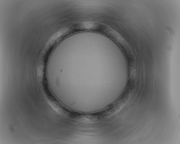 X0000113910736200910151417