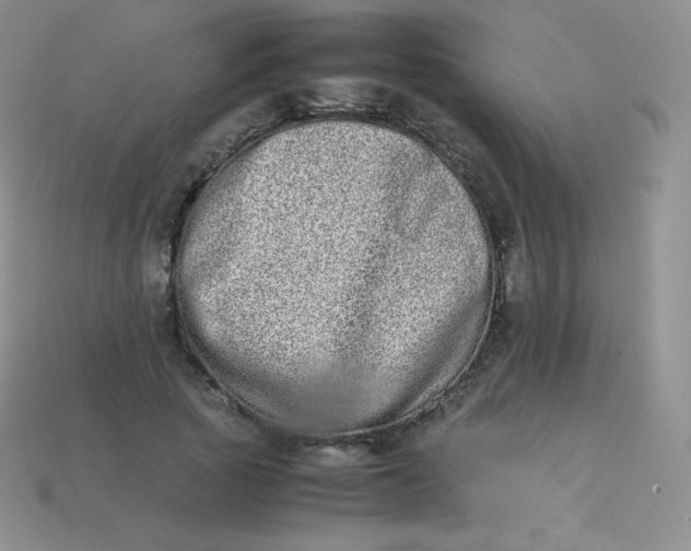 X0000113910737200910151417