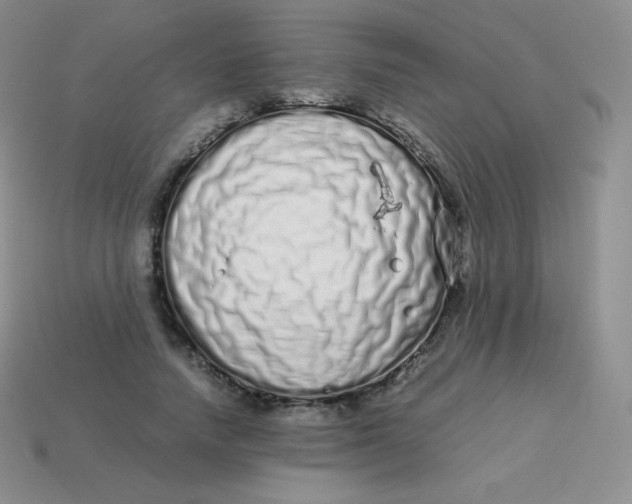 X0000113910738200910151417